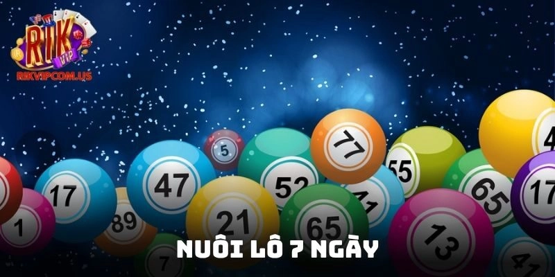 Nuôi Lô 7 Ngày – Cách Thức Chơi Hiệu Quả Từ Cao Thủ 2025